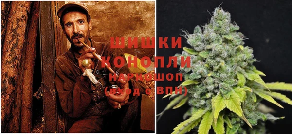 ГАЛЛЮЦИНОГЕННЫЕ ГРИБЫ Переславль-Залесский