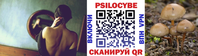 Галлюциногенные грибы Psilocybe  где найти   mega tor  Владикавказ 