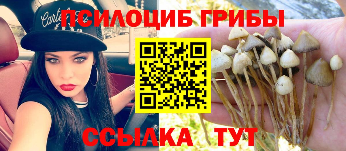 Псилоцибиновые грибы Psilocybine cubensis  Вход с VPN  Псилоцибиновые грибы мицелий  Владикавказ 